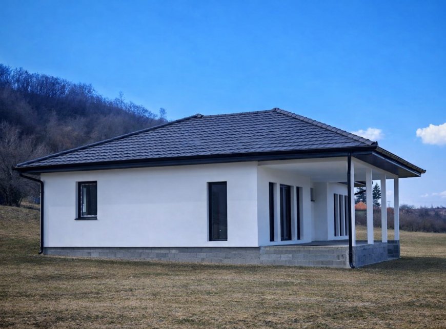 Montazne kuce Ivanjica - Tip Miroslav Max Vuk